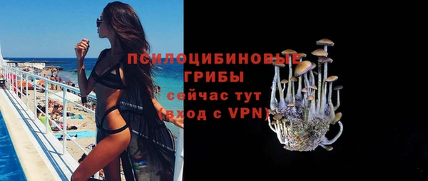 круглые Гусь-Хрустальный