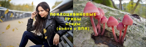 круглые Гусь-Хрустальный
